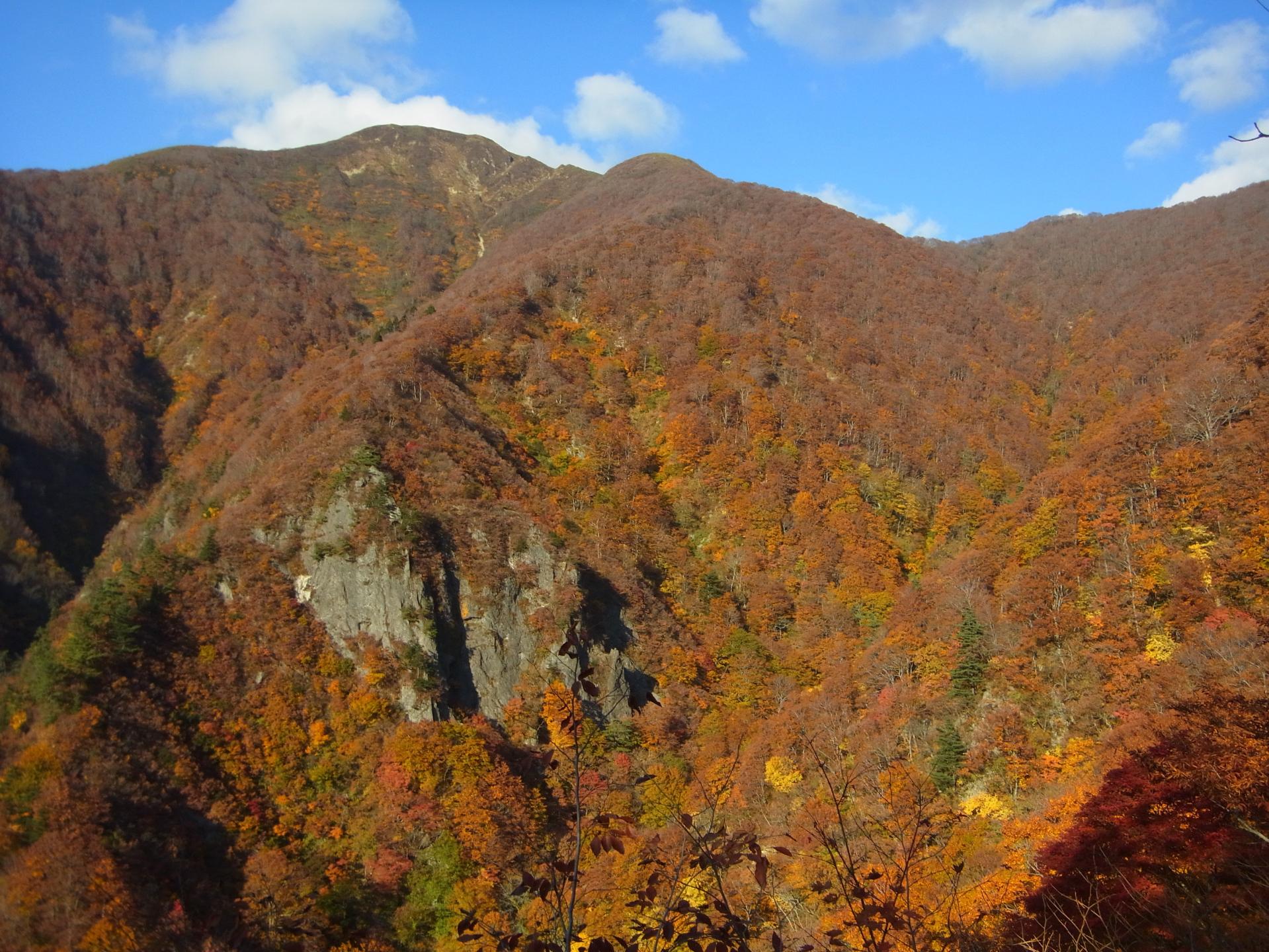 真昼岳山頂からのぞむ紅葉